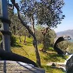 Bed & Breakfast Maremesco