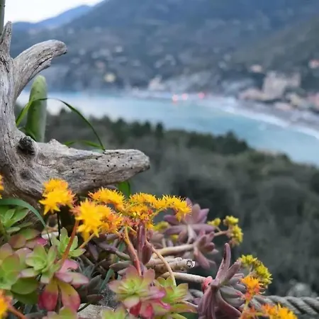 ベッド・アンド・ブレックファスト Maremesco レヴァント