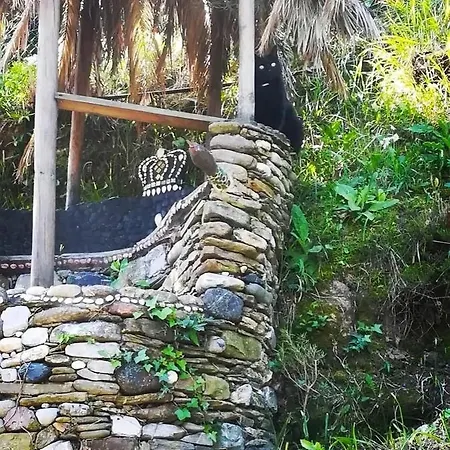 Maremesco 3* レヴァント