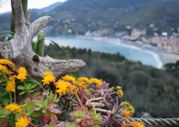 Bed & Breakfast Maremesco Levanto